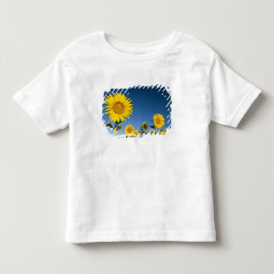 France, Provence, Valensole. Sunflowers stand Toddler T-Shirt