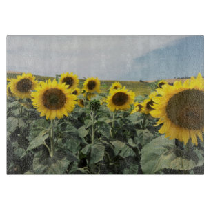 France Provence, View of sunflowers field Cutting Board