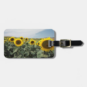 France Provence, View of sunflowers field Luggage Tag