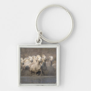 France, Provence. White Camargue horses running Key Ring