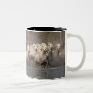France, Provence. White Camargue horses running Two-Tone Coffee Mug
