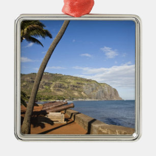 France, Reunion Island, St-Denis, view of La Metal Tree Decoration