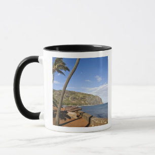 France, Reunion Island, St-Denis, view of La Mug