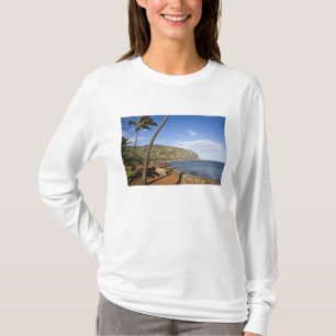 France, Reunion Island, St-Denis, view of La T-Shirt