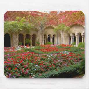 France, St. Remy de Provence, cloisters at 3 Mouse Pad
