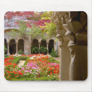 France, St. Remy de Provence, cloisters at Mouse Pad