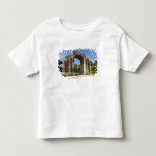 France, St. Remy de Provence, Triumphal Arch Toddler T-Shirt
