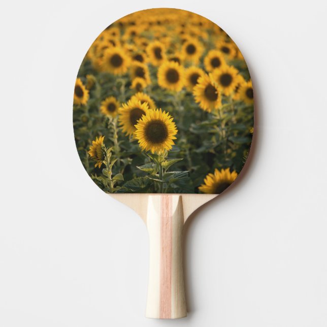 France, Vaucluse, sunflowers field Ping Pong Paddle (Front)