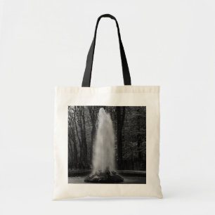 France Versailles palace Ceres fountain 1970 Tote Bag