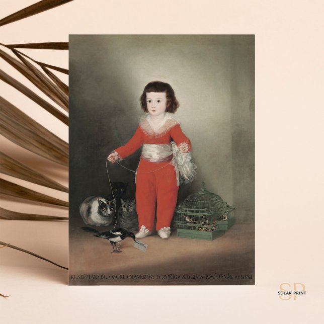 Francisco de Goya Red Boy Manuel Osorio de Zuniga  Postcard (Creator Uploaded)