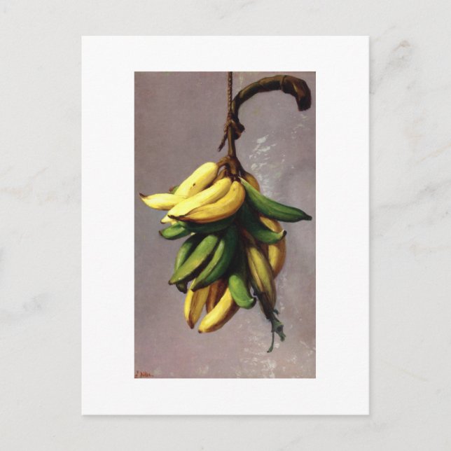 Francisco Oller Platanos Amarillos Postcard (Front)