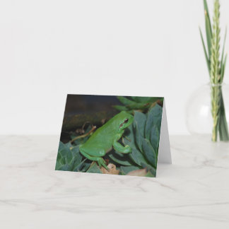 Francoise the Frog Holiday Card
