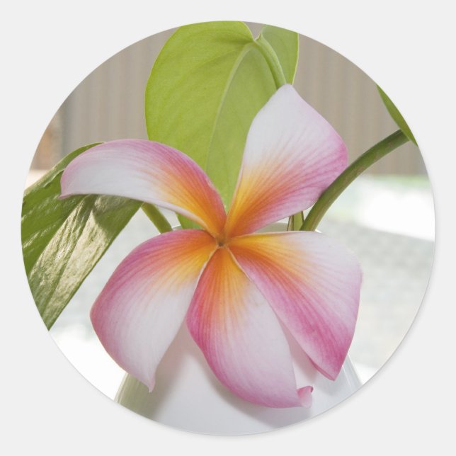 Frangi Panni Classic Round Sticker (Front)