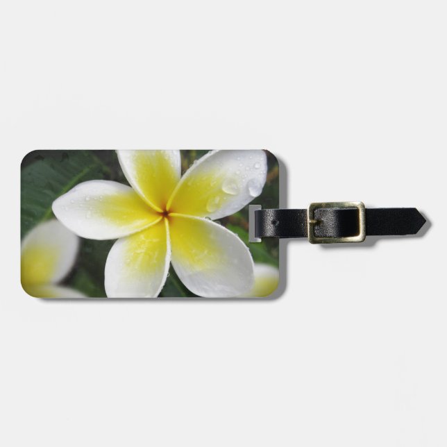 Frangipani And Raindrops luggage tag (Front Horizontal)