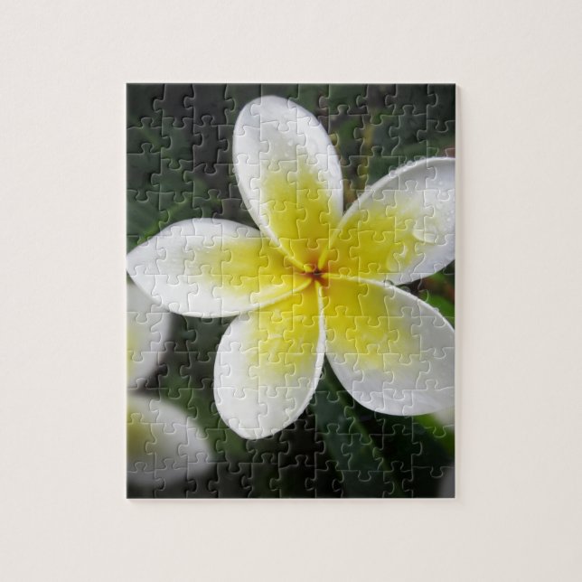 Frangipani And Raindrops Puzzle (Vertical)