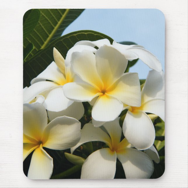 Frangipani Bliss Mouse Pad (Front)