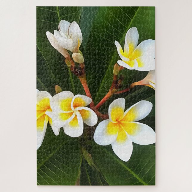 Frangipani Blossom Cluster Jigsaw Puzzle (Vertical)