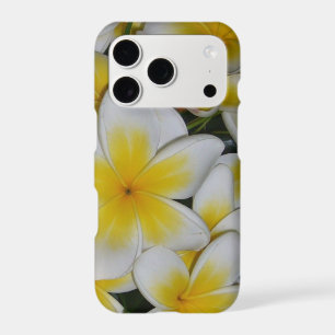 frangipani bouquet