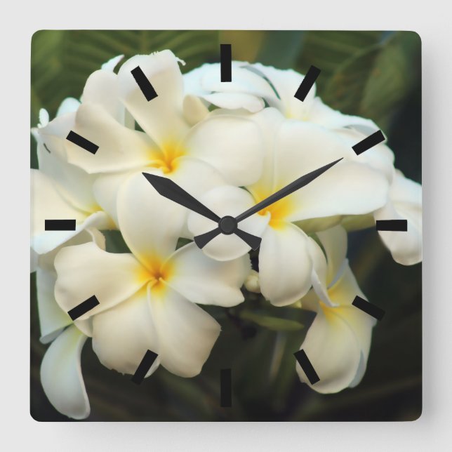 Frangipani bouquet flowers square wall clock (Front)