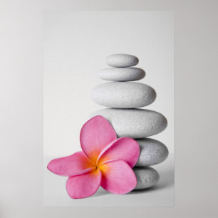 Frangipani Calm Poster