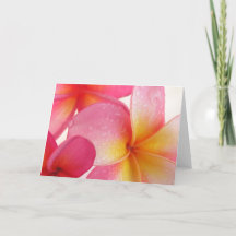 Frangipani Card