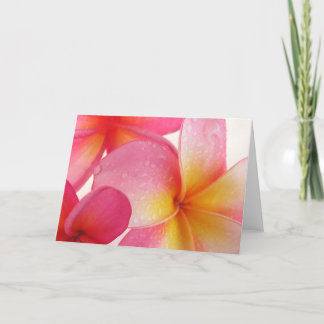 Frangipani Card