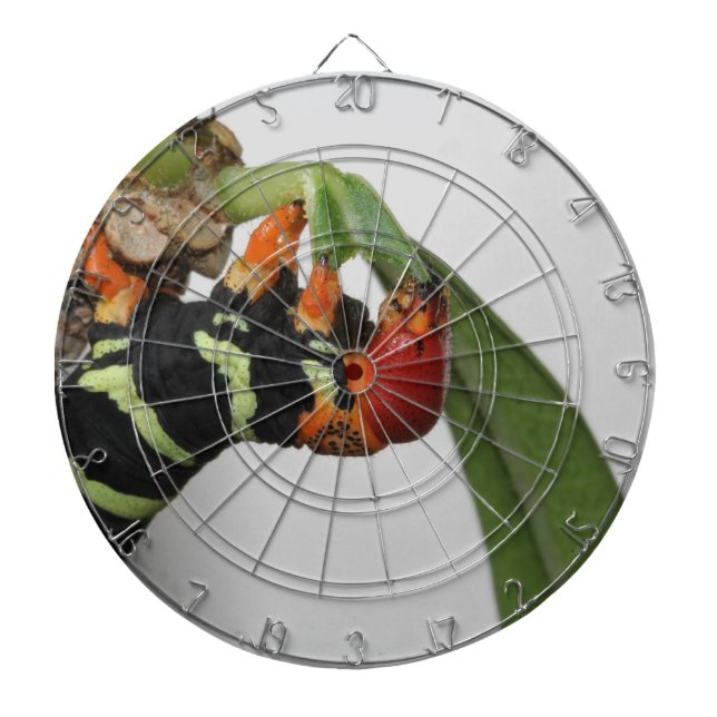 Frangipani Caterpillar Dart Board (Front)