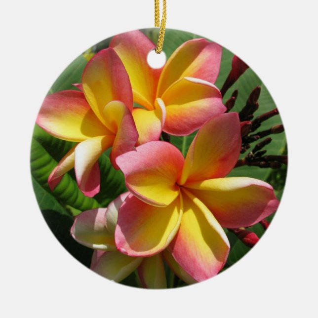 Frangipani Ceramic Decoration (Front)
