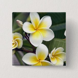 Frangipani flower Cook Islands 15 Cm Square Badge