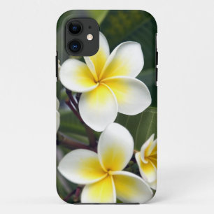 Frangipani flower Cook Islands iPhone 11 Case