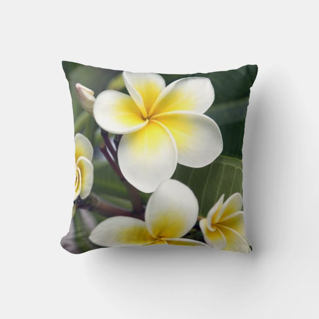 Frangipani flower Cook Islands Cushion (Front)