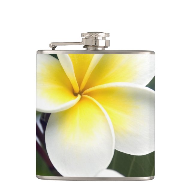 Frangipani flower Cook Islands Hip Flask (Front)