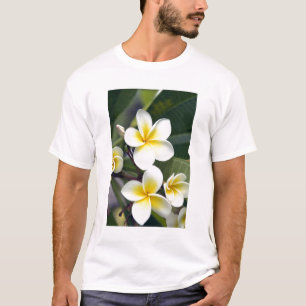 Frangipani flower Cook Islands T-Shirt