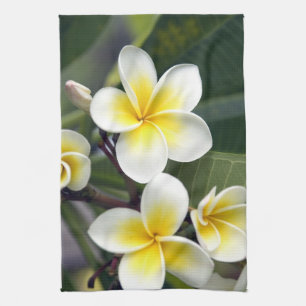 Frangipani flower Cook Islands Tea Towel