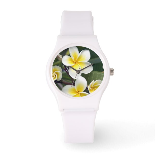 Frangipani flower Cook Islands Watch (Front)