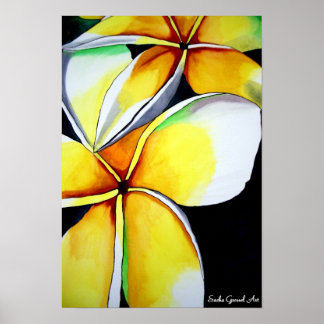 Frangipani flower poster by Sacha Grossel Art