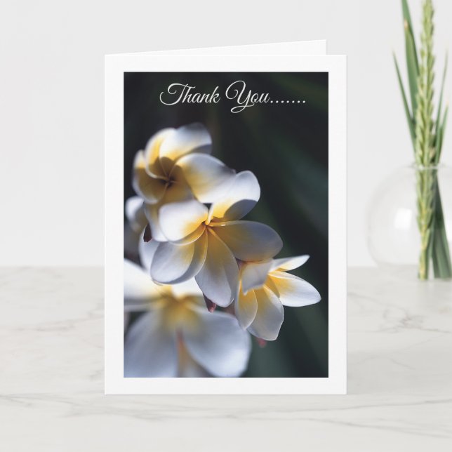 Frangipani flower thank you card (Front)