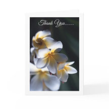 Frangipani flower thank you card
