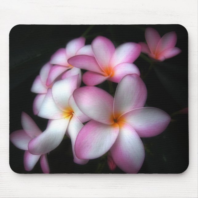 Frangipani in bloom mouse pad (Front)