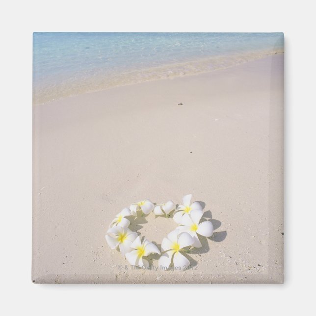Frangipani on the beach magnet (Front)