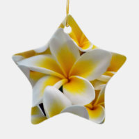 Frangipani Plumeria Flower Photo
