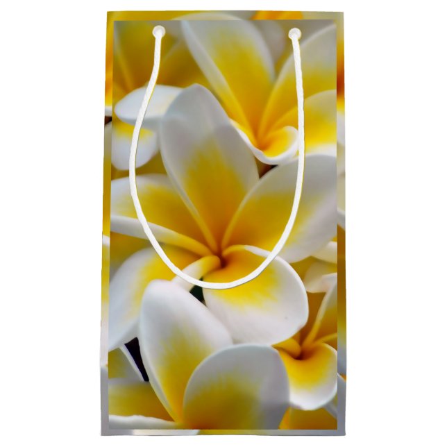 Frangipani Plumeria Flower Photo Small Gift Bag (Front)