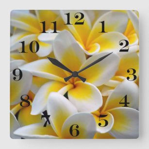 Frangipani Plumeria Flower Photo Square Wall Clock