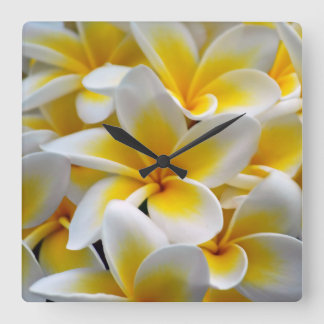 Frangipani Plumeria Flower Photo Square Wall Clock