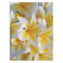 Frangipani Plumeria flowers wedding