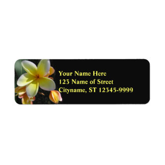 Frangipani Return Address Label
