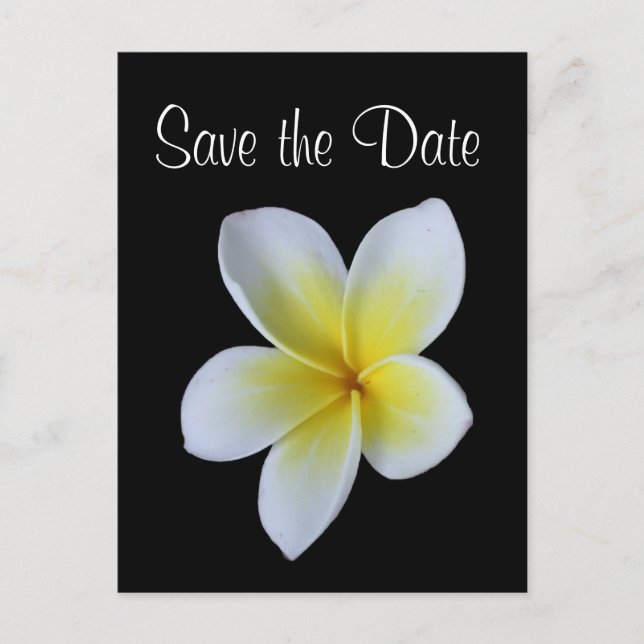 Frangipani save the date wedding announcement postcard (Front)