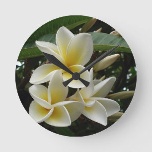 Frangipani Tree Blossoms Destiny Peace Love Flora Round Clock