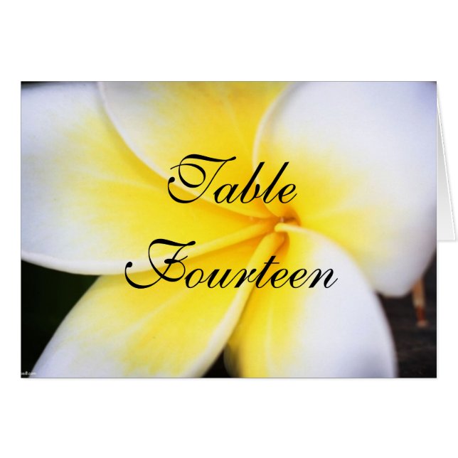Frangipani - Wedding Table Number Cards (Front Horizontal)