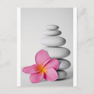 Frangipani Zen Postcard